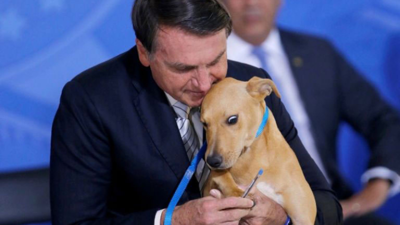 Bolsonaro hizo firmar a su perro una ley sobre maltrato animal