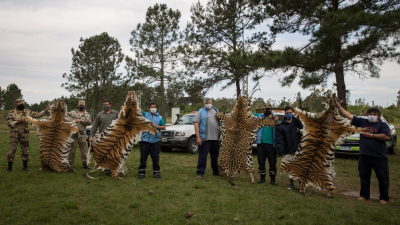 Triste hallazgo en centros de fauna silvestre en Entre Ríos