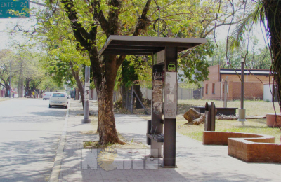 Se restablece el servicio de transporte público luego de la suspensión del fin de semana largo