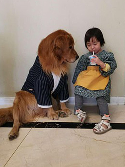 perro1.jpg