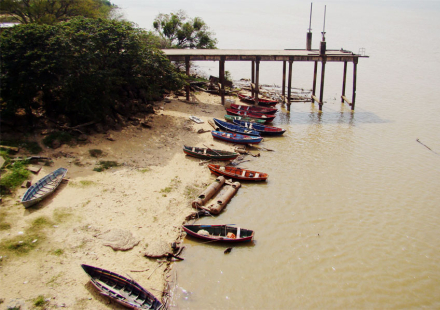 parana.jpg