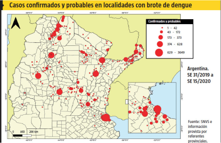 aedes2.jpg