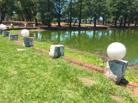parque6.jpg