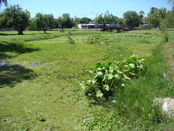 Foto 6