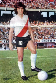 sabella5.jpg