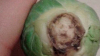 Una mujer asegura que vio el "rostro de Jesús" en un repollo