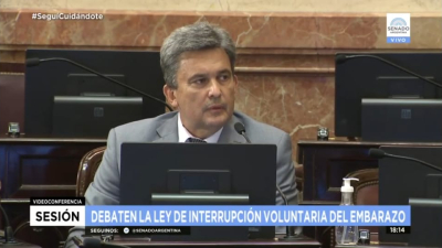 "El proyecto es inconstitucional y tiene errores de redacción bastante groseros"