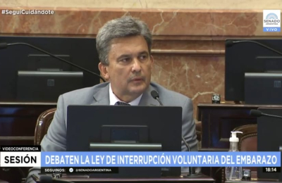 "El proyecto es inconstitucional y tiene errores de redacción bastante groseros"