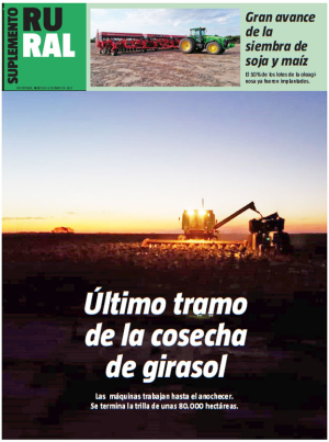 Último tramo de la cosecha de girasol
