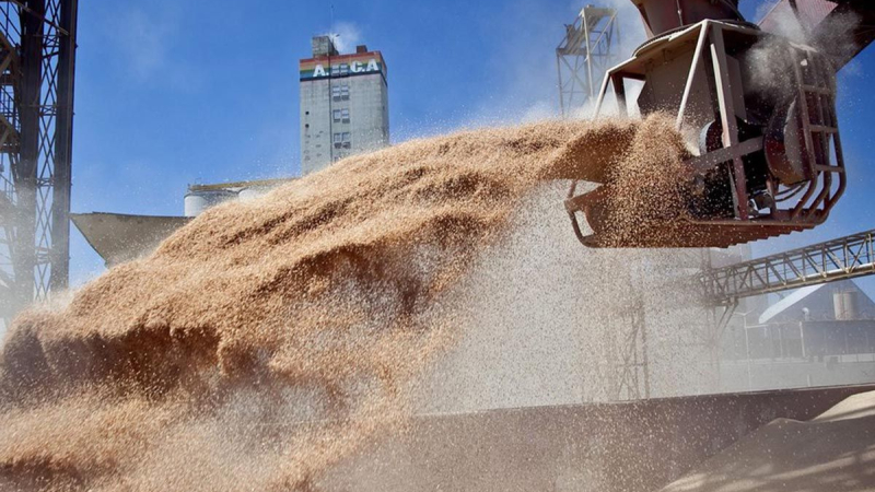 Acuerdo Gobierno-campo: queda sin efecto límite a la exportación de maíz