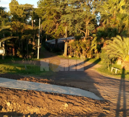vivero2.jpg