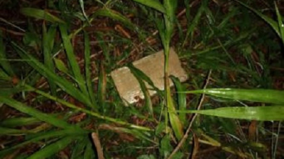 Prefectura secuestró más de dos kilos de cocaína en la Isla del Cerrito