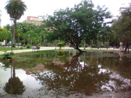 lluvia dia despues.jpeg