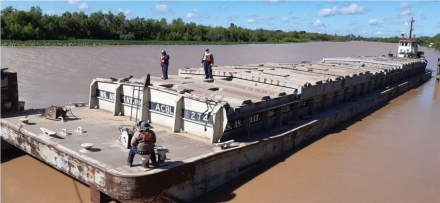 parana4.jpg