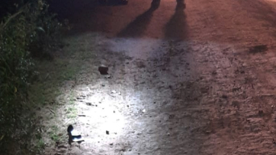 Fatalidad en el interior del Chaco: cuatro personas fallecieron en accidentes de tránsito