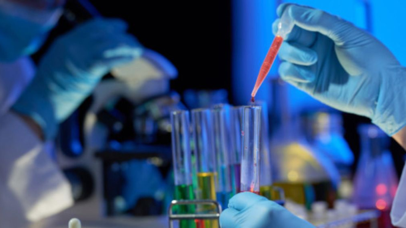 Claves de los primeros resultados de la investigación de la OMS en China