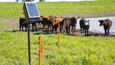 Boyeros solares para productores de 19 provincias, Chaco entre ellas