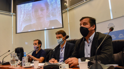 El proyecto para el fortalecimiento de la sostenibilidad de la deuda pública será tratado en sesión