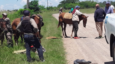 La Leonesa: robaron caballos y querían cambiarlos por marihuana en Paraguay