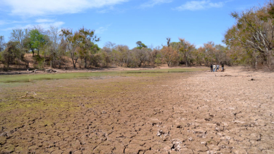 La falta de lluvias pone en jaque a los cultivos y a la ganadería