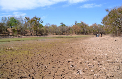 La falta de lluvias pone en jaque a los cultivos y a la ganadería