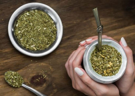 yerba3.jpg