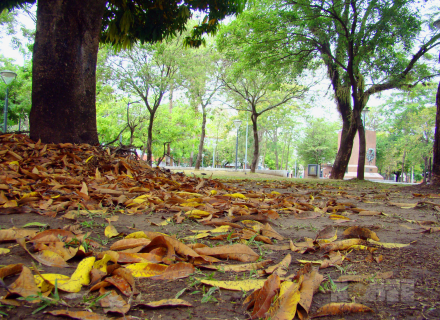 otoño01.jpg