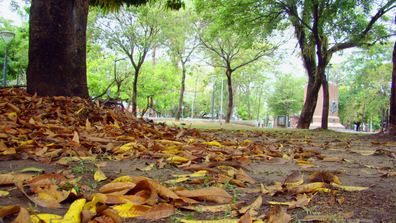 El otoño aterrizó en la región como se debe