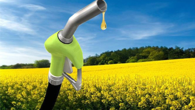 Biocombustibles: dilema que se viene