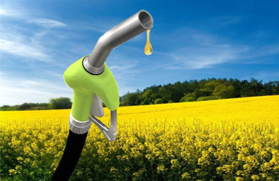 Biocombustibles: dilema que se viene