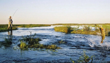 corrientes turismo02.jpg