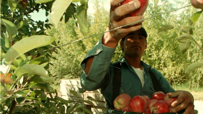 CAME vuelve a la carga para compatibilizar planes sociales con empleo rural