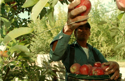CAME vuelve a la carga para compatibilizar planes sociales con empleo rural