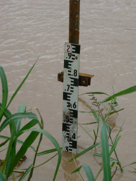Paraná2.jpg