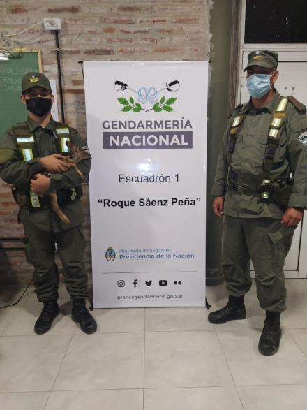 guazuncho 1.jpeg
