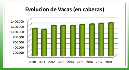 Evolucion-de-vacas.jpg