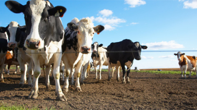 ¿Cuáles son los agroinsumos más solicitados por parte de los productores agropecuarios?