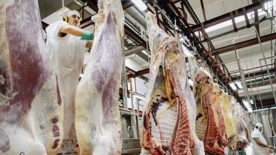 Hoy arranca la venta de 11 cortes de carne a precios económicos