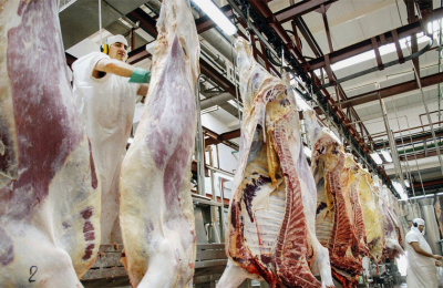 Hoy arranca la venta de 11 cortes de carne a precios económicos
