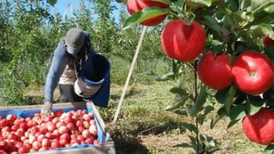 “El objetivo es beneficiar al trabajador y darle dignidad, sin seguir haciendo asistencialismo”