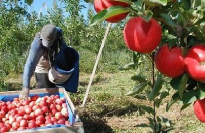 “El objetivo es beneficiar al trabajador y darle dignidad, sin seguir haciendo asistencialismo”