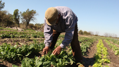 Resistencia es sede del Segundo Congreso Argentino de Agroecología