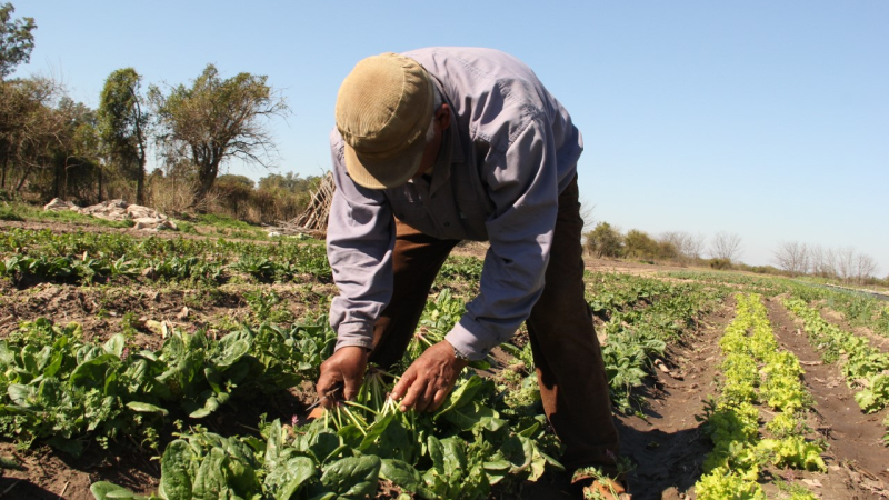 Resistencia es sede del Segundo Congreso Argentino de Agroecología
