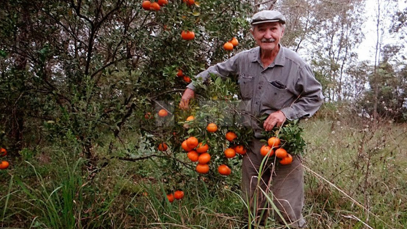 “La agroecología es más rentable y hace feliz a la gente”