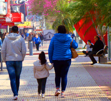 peatonal2.jpg