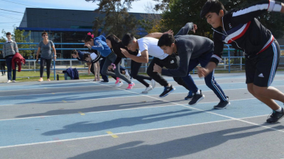 La Ley de Sponsorización, una herramienta que tiene 160 proyectos deportivos para desarrollar