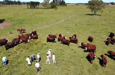 Comienza a tomar color la gran cita anual de Cabaña Caá Cupé