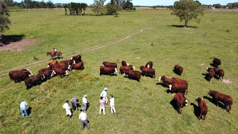 Comienza a tomar color la gran cita anual de Cabaña Caá Cupé