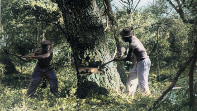 Recursos naturales y biodiversidad; pobreza y miseria en el Chacú, vida del hachero