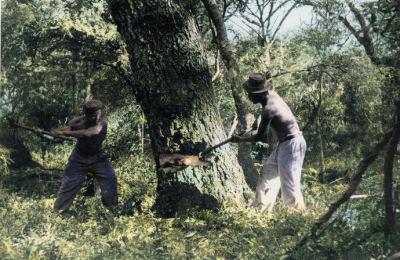 Recursos naturales y biodiversidad; pobreza y miseria en el Chacú, vida del hachero